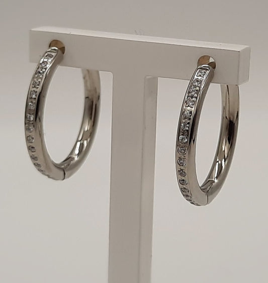 Boucles d'oreilles hugguies